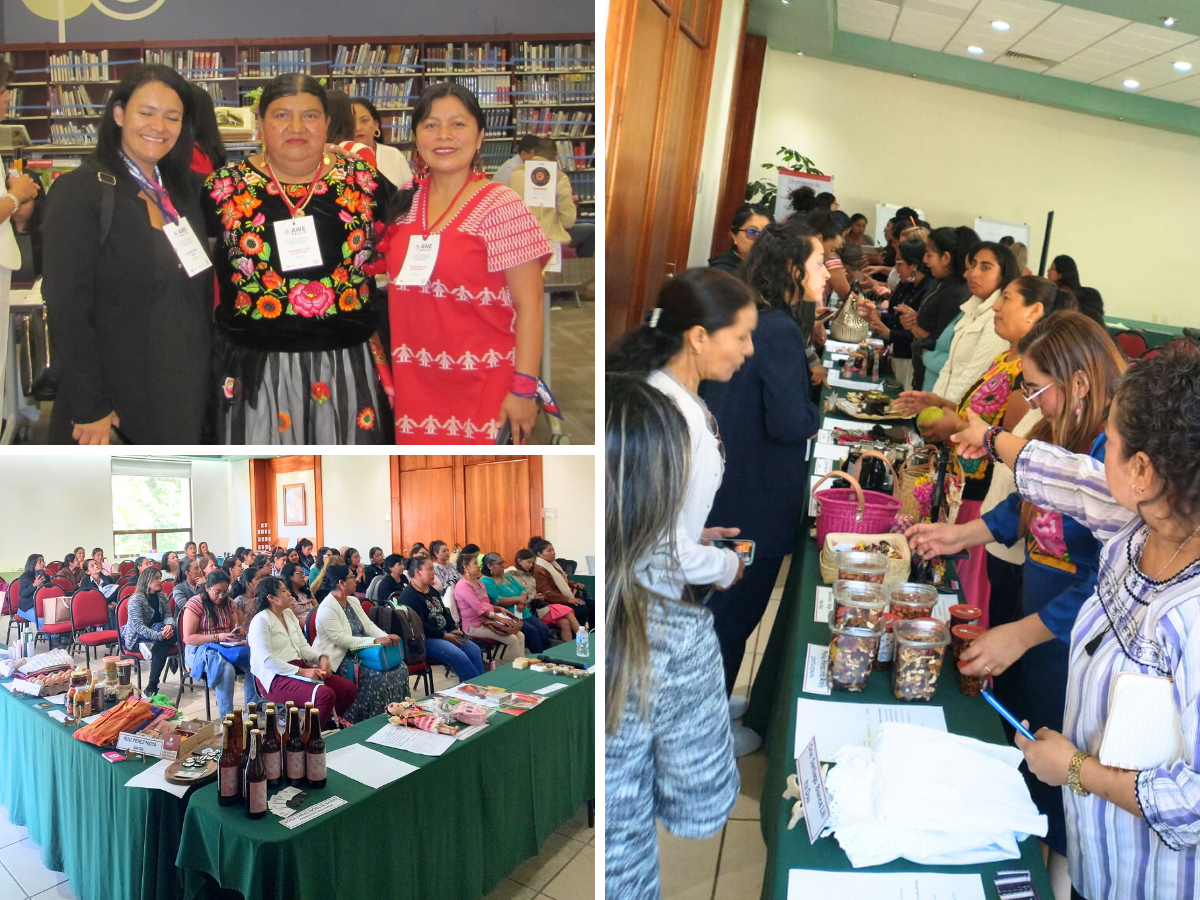 Impulsamos a Mujeres con Equidad, Igualdad y Respeto